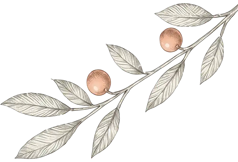 Tree-Left