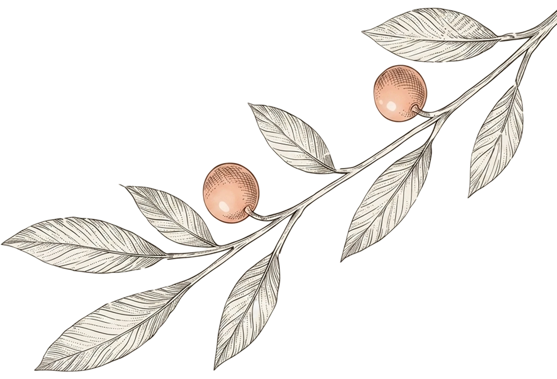 Tree-Left