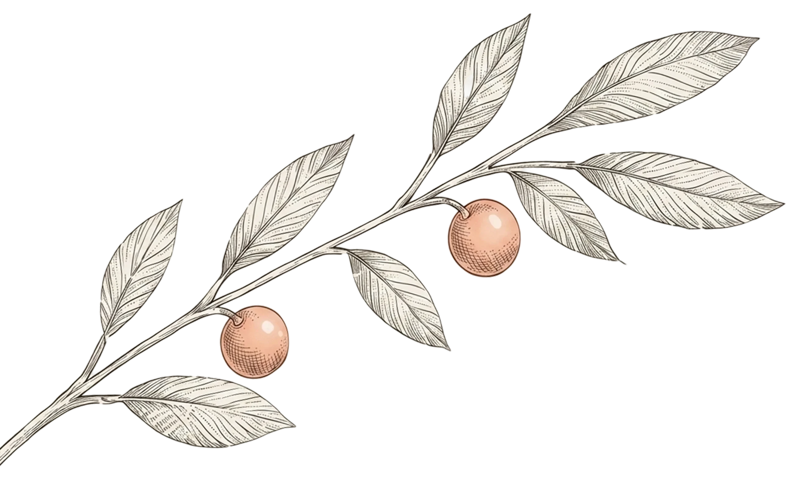Tree-Right