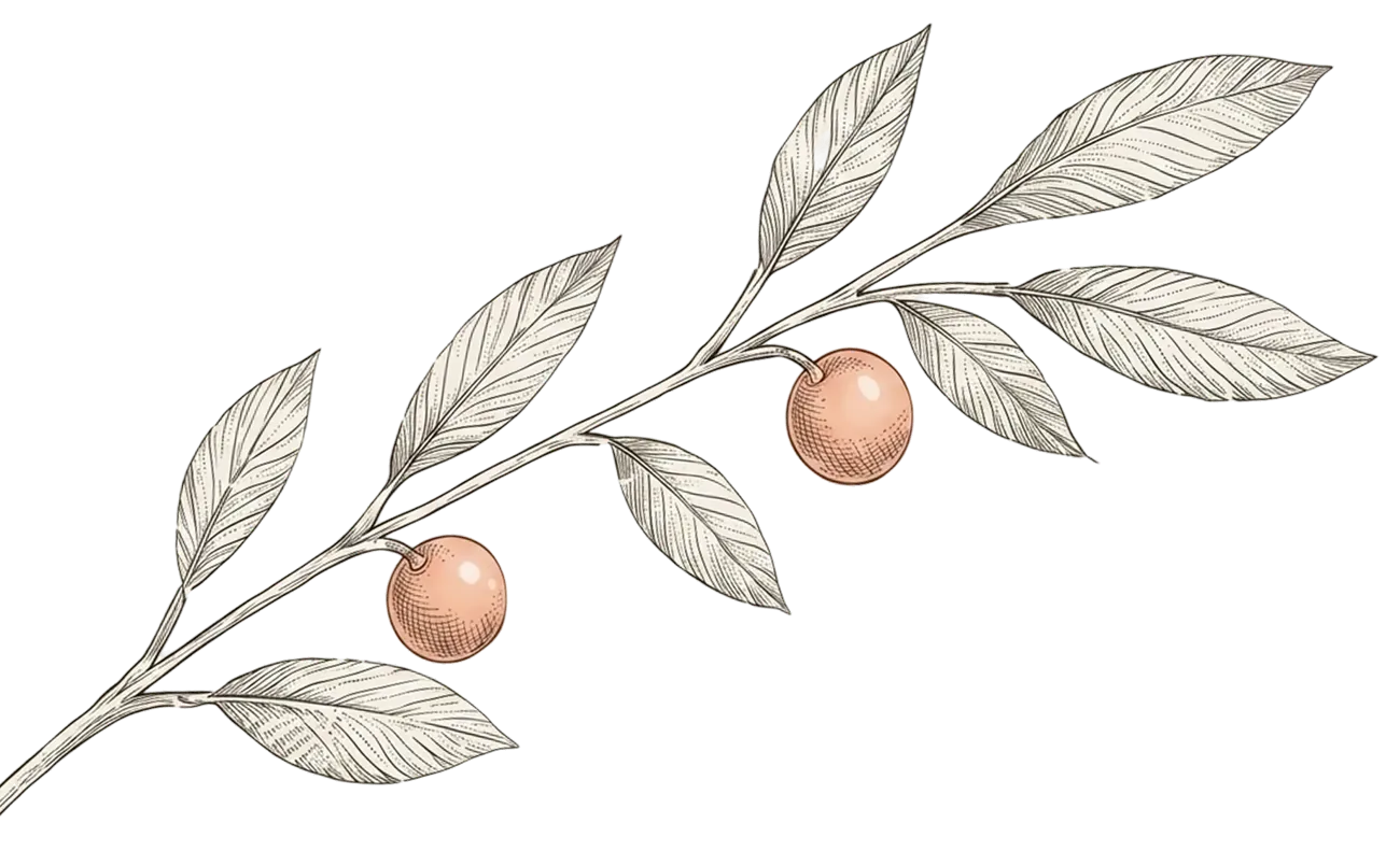Tree-Right