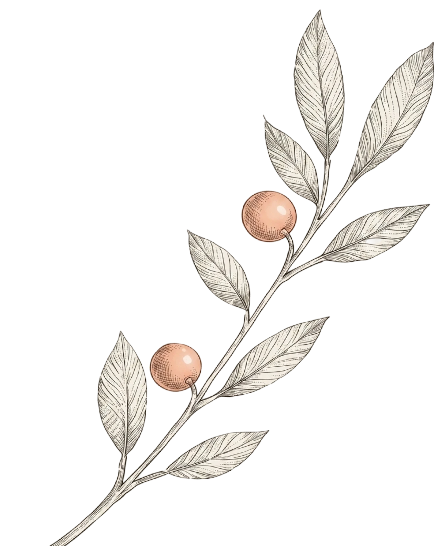 Up-Tree1