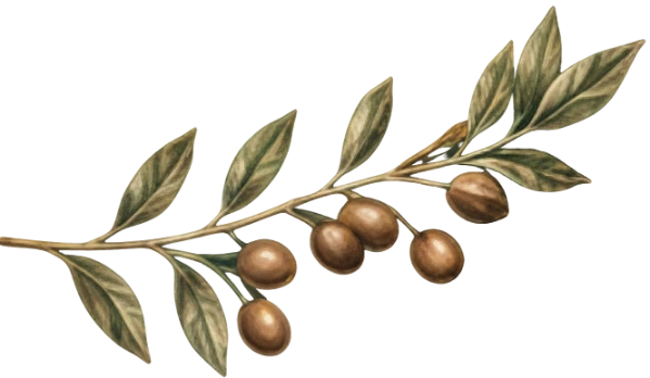 tree1
